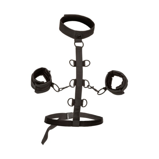 Boundless Collar Body Restraint Boundless Collar Body Restraint