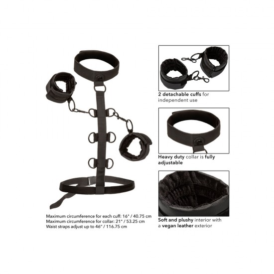 Boundless Collar Body Restraint Boundless Collar Body Restraint