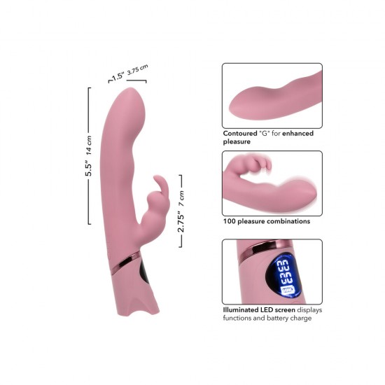Orgasmatron Digital GBunny Vibrator Orgasmatron Digital GBunny Vibrator