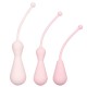 Inspire Weighted Silicone Kegel Training Kit Inspire Weighted Silicone Kegel Training Kit