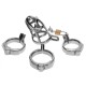 Master Series Chastity Cock Cage Master Series Chastity Cock Cage