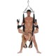 Whipsmart Luxury Bondage Yoga Pleasure Swing Whipsmart Luxury Bondage Yoga Pleasure Swing
