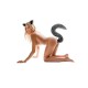 Furry Tales Grey Foxtail Butt Plug Furry Tales Grey Foxtail Butt Plug