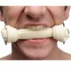 Master Series Silicone Dog Bone Gag Master Series Silicone Dog Bone Gag